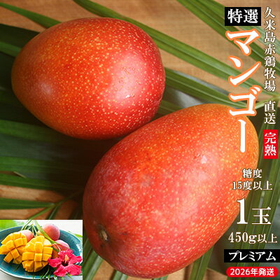 [2026年発送]久米島赤鶏牧場 直送!糖度15度以上「プレミアム」完熟マンゴー 1玉(450g以上) マンゴー 完熟 アップルマンゴー アーウィン 糖度15度 特選品 プレミアム 贈答 贈り物 甘い 濃厚 循環型農業 減農薬栽培 芳醇 爽やか 南国フルーツ ギフト