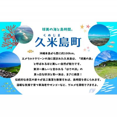 【ふるさと納税】HISふるさと納税クーポン(沖縄県久米島町)15万円分 観光 宿泊 宿泊券 トラベル 旅行 クーポン リゾート ホテル ファミリー ペア ダイビング 沖縄 ビーチ 離島 イーフビーチ はての浜 ウミガメ ホタル 釣り シュノーケルその2