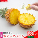 【ふるさと納税】【2025年発送】田里さんの久米島産スナックパイン 1.8kg以上 パイナップル 果物 フルーツ 果実 果汁 ジューシー ボゴール 手でちぎる ...