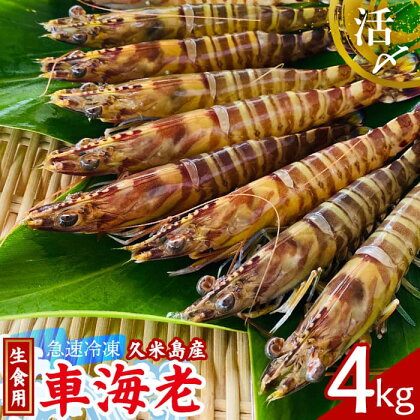 【久米島漁協】活〆冷凍車海老　生食用4kg