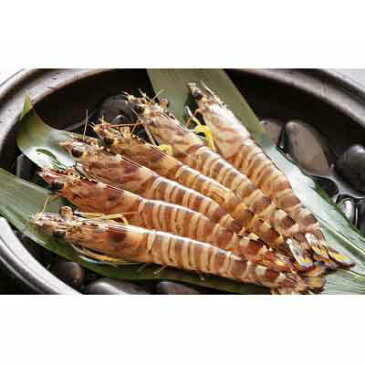 【ふるさと納税】【定期便】海ぶどう(4〜10月)・活車えび(11〜3月) 年12回