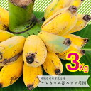 【ふるさと納税】希少栽培種のばなな!ぐしちゃん銀バナナ約3Kg