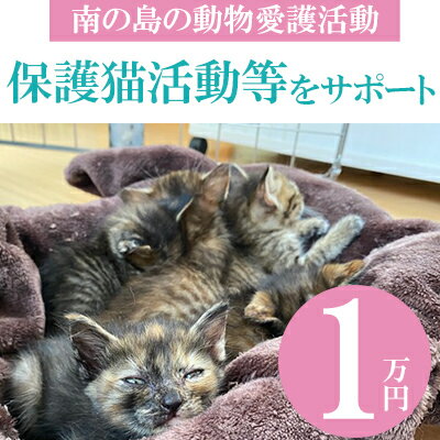 【ふるさと納税】【南の島の動物愛護活動】保護猫活動等をサポート 1万円 