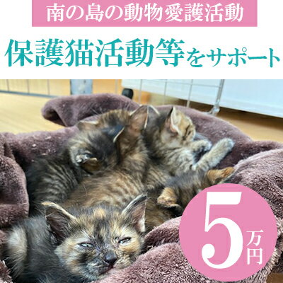 【ふるさと納税】【南の島の動物愛護活動】保護猫活動等をサポート（5万円）