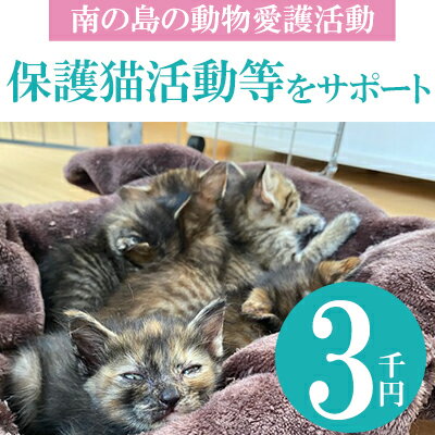 【ふるさと納税】【南の島の動物愛護活動】保護猫活動等をサポート 3千円 