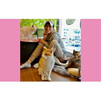 【ふるさと納税】【南の島の動物愛護活動】保護猫活動等をサポート(3千円)