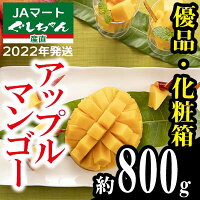 【ふるさと納税】【2022年発送】JAマートぐしちゃんの産直アップルマンゴー約800g【優品・化粧箱】