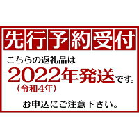 【ふるさと納税】【2022年発送】JAマートぐしちゃんの産直アップルマンゴー約1.5kg【優品・化粧箱】