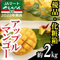 【ふるさと納税】【2022年発送】JAマートぐしちゃんの産直アップルマンゴー約2kg【優品・化粧箱】