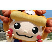【ふるさと納税】【2022年発送】JAマートぐしちゃんの産直アップルマンゴー約2kg【優品・化粧箱】