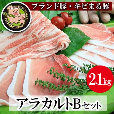 【ブランド豚・キビまる豚】アラカルトセットB（2.1kg）