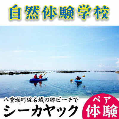 「自然体験学校」八重瀬町玻名城の郷ビーチでシーカヤック体験(ペアチケット)