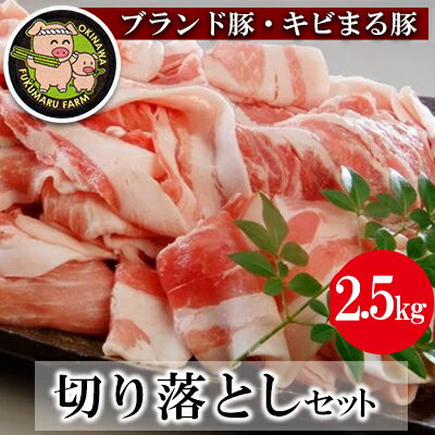 【ブランド豚・キビまる豚】切り落とし　約2.5kg【価格改定】