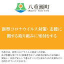 新型コロナウイルス対策・支援に関する取り組みに寄付をする（1万円）