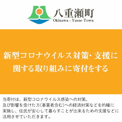 新型コロナウイルス対策・支援に関する取り組みに寄付をする（1万円）