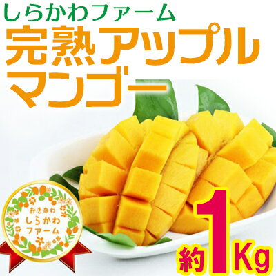 【2021年発送】しらかわファームの完熟アップルマンゴー約1kg