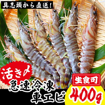 16位! 口コミ数「5件」評価「5」【訳アリ】活き〆急速冷凍車エビ（生食可・約400g）