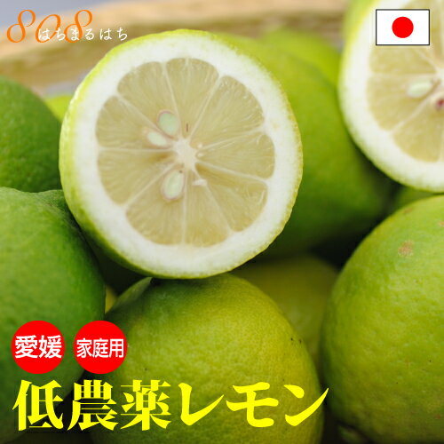2024年10月分予約 低農薬 国産 レモン 5kg 訳あり 愛媛 瀬戸内 大三島 れもん 檸檬 家庭用 国産 防腐剤不使用 フルー…