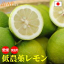 【10月分予約】低農薬 国産 レモン 10kg 訳あり 愛媛 瀬戸内 大三島 ore SSS