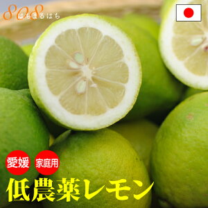 【2022年10月分予約】低農薬 国産 レモン 3kg 訳あり 愛媛 瀬戸内 大三島 ore 10g SSS