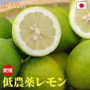 2024年10月分予約 低農薬 国産 レモン 5kg A品 愛媛 瀬戸内 大三島 れもん 檸檬 贈答用 国産 防腐剤不使用 フルーツ 果物 祝い 内祝い お中元 母の日 父の日 敬老の日 お歳暮 御歳暮 SSS