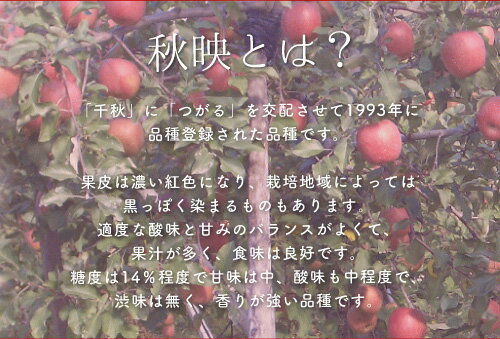 【10月分予約】訳あり 減農薬 長野 秋映 りんご 約9kg 24〜50個入 C品 リンゴ 林檎 秋映え 産地直送 小山 10t