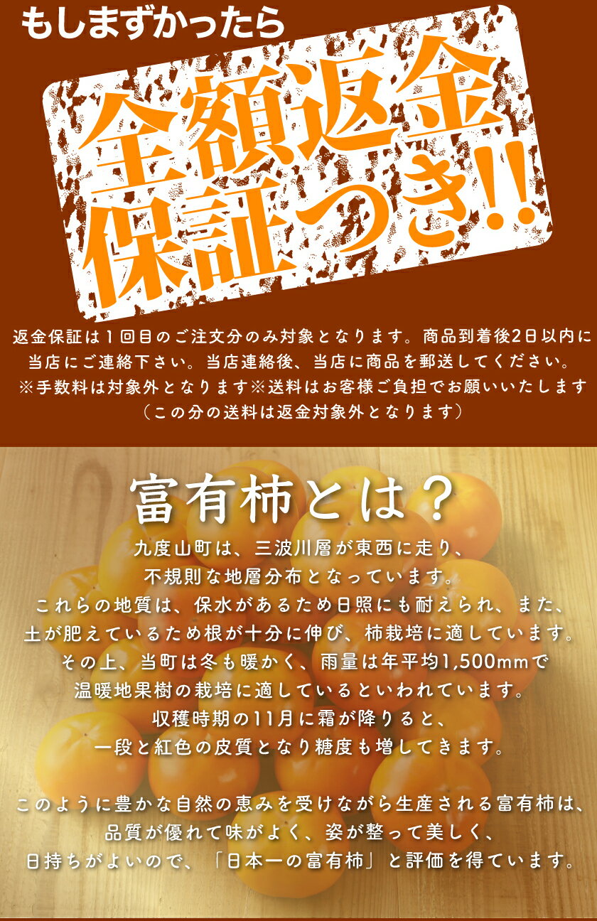 2024年11分予約 全額返金保証 低農薬 和歌山 九度山産 富有柿 訳あり 約3.8kg 12～15玉 家庭用 SSS 産地直送 2