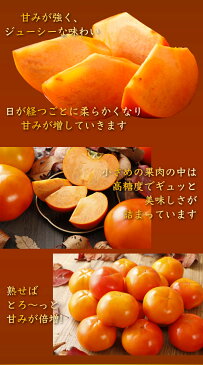 全額返金保証 低農薬 和歌山 九度山産 富有柿 約7.5kg 贈答用 24〜32玉 赤秀 SSS