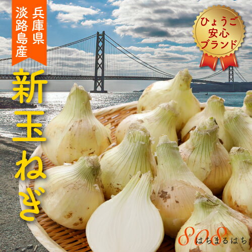 減農薬 兵庫県 淡路島産 新玉ねぎ 5kg サイズ混合 12〜25個入 産地直送 特別栽培 ひょうご安心ブランド SSS ※ ふるさと納税 ではありません 減農薬 兵庫県 淡路島産 新玉ねぎ 5kg サイズ混合 12〜25個入 産地直送 特別栽培 ひょうご安心ブランド SSS ※ ふるさと納税 ではありません