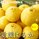 2026年3月分予約 最高糖度15度 訳あり 愛媛産 減農薬 はるか 約5kg 家庭用 みかん 産地直送 ore 大三島 日向夏 ニューサマーオレンジ ※ ふる...