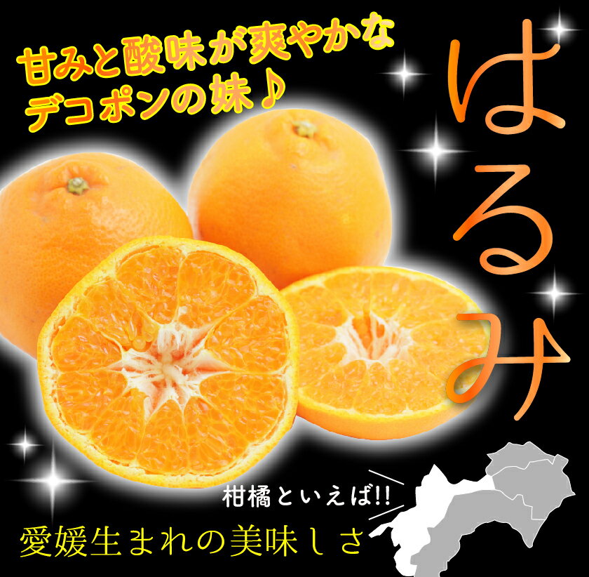 【訳あり】低農薬 愛媛 はるみ みかん 約10kg B品 サイズ混合 産地直送 ore NN