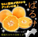 2025年2月分予約 最高糖度15度 低農薬 愛媛 はるみ みかん 約3kg A品 サイズ混合 産地直送 NN 2