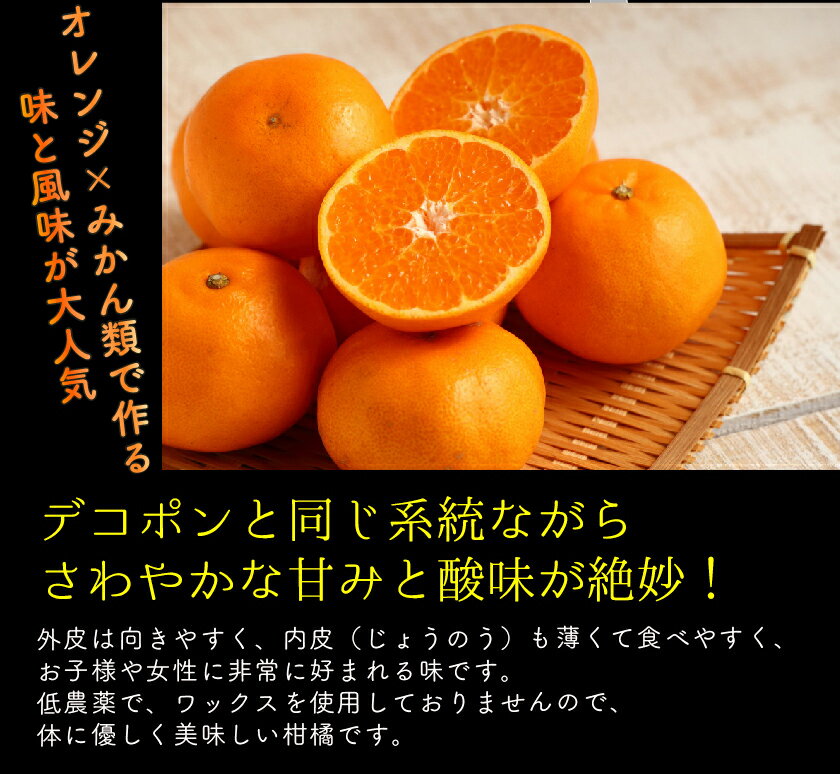 【訳あり】低農薬 愛媛 はるみ みかん 約3kg B品 サイズ混合 産地直送 ore NN