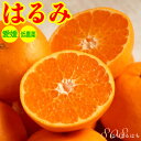 2025年2月分予約 最高糖度15度 訳あり 低農薬 愛媛 はるみ みかん 約3kg サイズ混合 B品 産地直送 NN