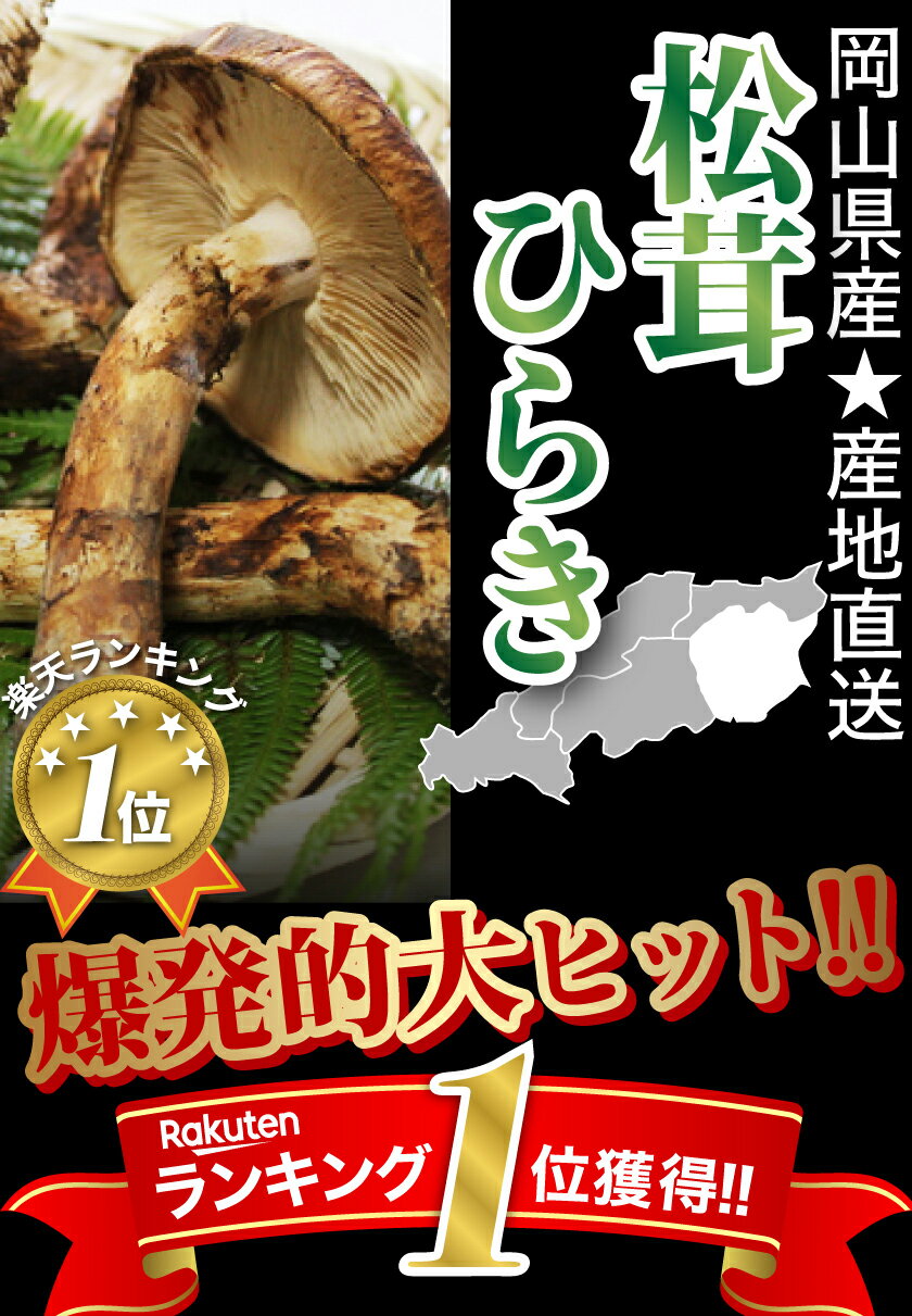 国産 松茸 ひらき 小さめ 約230g 2〜8本程度 まつたけ マツタケ 岡山 SSS 10j