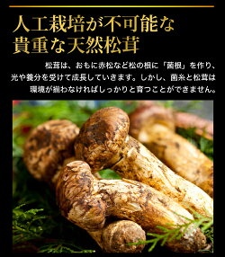 国産 コロ ミニサイズ 御供え マツタケ ギフト お供え 岡山 産地直送 南水梨 400g前後 お中元 高級栗 利平栗 1kgをプレゼント 松茸 利平栗1kgおまけ付 まつたけ Sss はちまるはち 父の日送料無料 国産松茸 まつたけ マツタケ 松茸 国産 国産 コロ ミニサイズ 御供え マツタケ ギフト お供え 岡山 産地直送 南水梨 400g前後 お中元 高級栗 利平栗 1kgをプレゼント 松茸 利平栗1kgおまけ付 まつたけ Sss はちまるはち 父の日送料無料 国産松茸 まつたけ マツタケ 松茸 国産