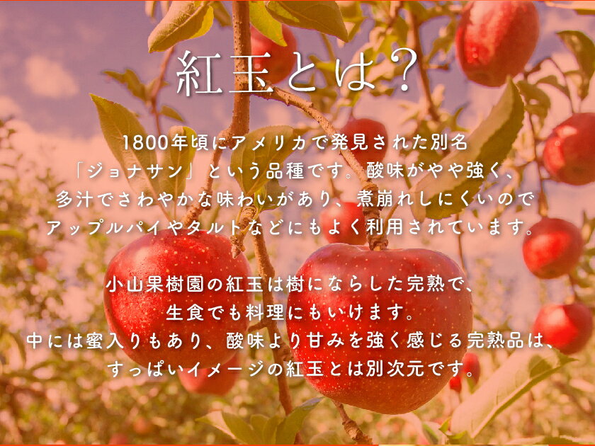 訳あり 減農薬 長野 生食用 紅玉 りんご 約4kg C品 小玉16～30個入 リンゴ 林檎 産地直送 小山 SSS 9g 3