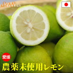 2024年10月分予約 訳あり 国産 無農薬 レモン 3kg 愛媛 大三島 又は 広島 瀬戸内 れもん 檸檬 家庭用 国産 防腐剤不使用 フルーツ 果物 祝い 内祝い お中元 母の日 父の日 敬老の日 お歳暮 御歳暮 SSS