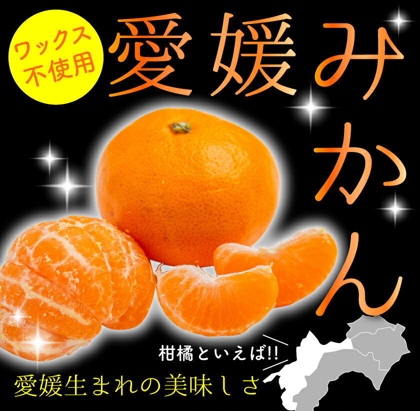 【12月分予約】低農薬 訳あり みかん 愛媛 約 3kg SSサイズ 愛媛みかん 産地直送 ore 大三島 SSS