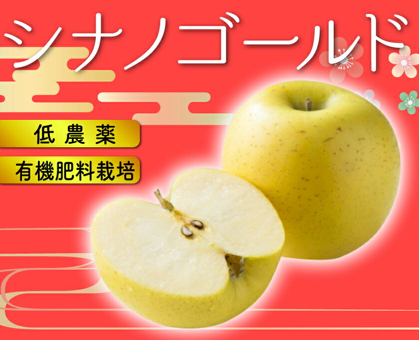 【10月分予約】訳あり 減農薬 長野 シナノゴールド りんご 約9kg 16〜50個入 C品 リンゴ 林檎 産地直送 小山