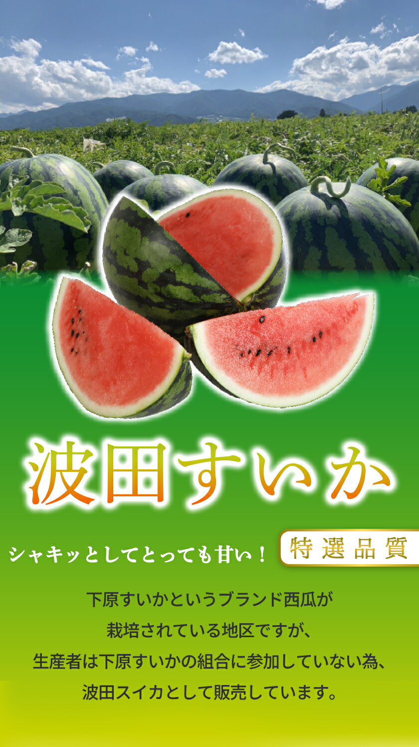 波田 すいか 2L〜3Lサイズ 1〜2玉 7〜18kg入 贈答用 スイカ 西瓜 長野 松本 秀品 下原 地区 ※ ふるさと納税 下原すいか ではありません SSS