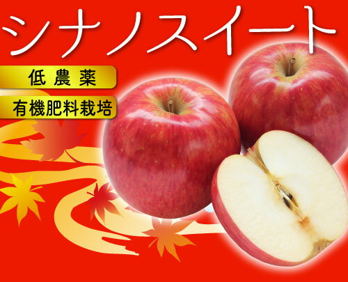 【10月分予約】減農薬 シナノスイート りんご 訳あり 約4.5kg 8～25個入 C品 長野産 リンゴ 林檎 産地直送 小山 SSS 10g