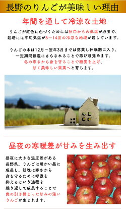 サンふじりんご送料無料産地直送長野減農薬有機肥料栽培林檎ご家庭用約4.5kg12〜25個入完熟リンゴりんご訳ありりんごさんふじりんごサン富士りんごさんフジりんごさんふじりんごりんご長野県産サンふじりんご長野産サンふじりんご低農薬サンふじりんご