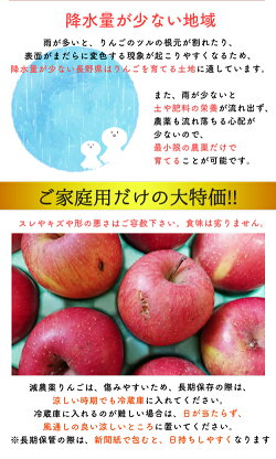 サンふじりんご送料無料産地直送長野減農薬有機肥料栽培林檎ご家庭用約4.5kg12〜25個入完熟リンゴりんご訳ありりんごさんふじりんごサン富士りんごさんフジりんごさんふじりんごりんご長野県産サンふじりんご長野産サンふじりんご低農薬サンふじりんご