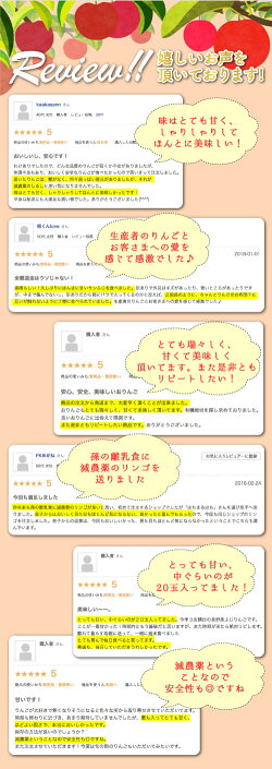 サンふじりんご送料無料産地直送長野減農薬有機肥料栽培林檎ご家庭用約4.5kg12〜25個入完熟リンゴりんご訳ありりんごさんふじりんごサン富士りんごさんフジりんごさんふじりんごりんご長野県産サンふじりんご長野産サンふじりんご低農薬サンふじりんご