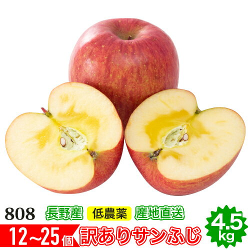 12月分予約 減農薬 サンふじ りんご 訳あり 約4. 5kg C品 12～25個入 長野 リンゴ 林檎 さんふじ サンフジ 小山 SSS 産地直送