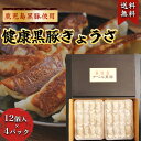 健康黒豚餃子 12ヶ入×4パック 産地直送 餃子 鹿児島 黒豚 使用 鹿児島黒豚 本格 冷凍餃子 黒豚専門店 厳選 送料無料 黒豚 豚肉 黒豚餃子 ギフト アベ...