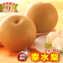 2026年8月分予約 訳あり 減農薬 長野 幸水 梨 約9キロ 24〜30個入 幸水梨 産地直送 ※ ふるさと納税 ではありません SSS