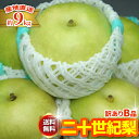 2026年9月分予約 訳あり 減農薬 長野 二十世紀 梨 約9キロ 24〜30個入 産地直送 20世紀梨 20世紀 二十世紀梨 和梨 ※ ふるさと納税 ではあり...