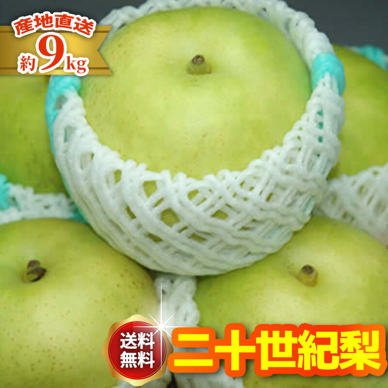 9月分予約 減農薬 長野 二十世紀 梨 約9キロ 24〜30個入 贈答用 20世紀梨 20世紀 二十世紀梨 和梨 ギフト 産地直送 SSS ※ ふるさと納税 ではありません